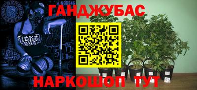 не бодяженный Гатчина