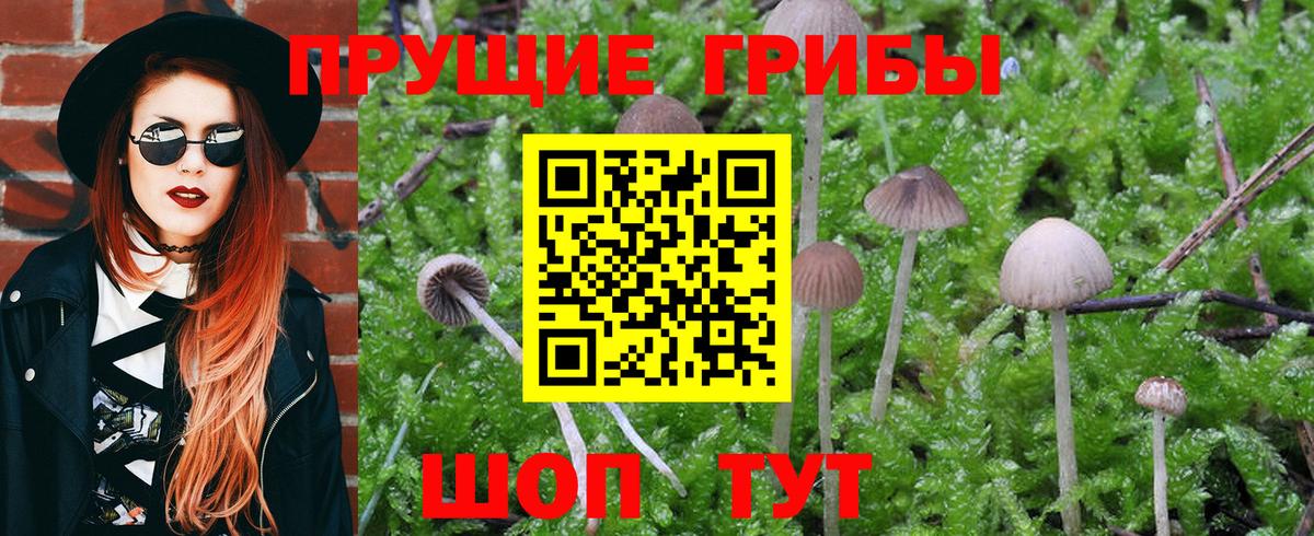 Красноуфимск  Галлюциногенные грибы MAGIC MUSHROOMS  Вход с VPN 